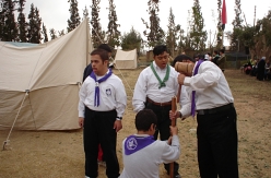 {short description of image}